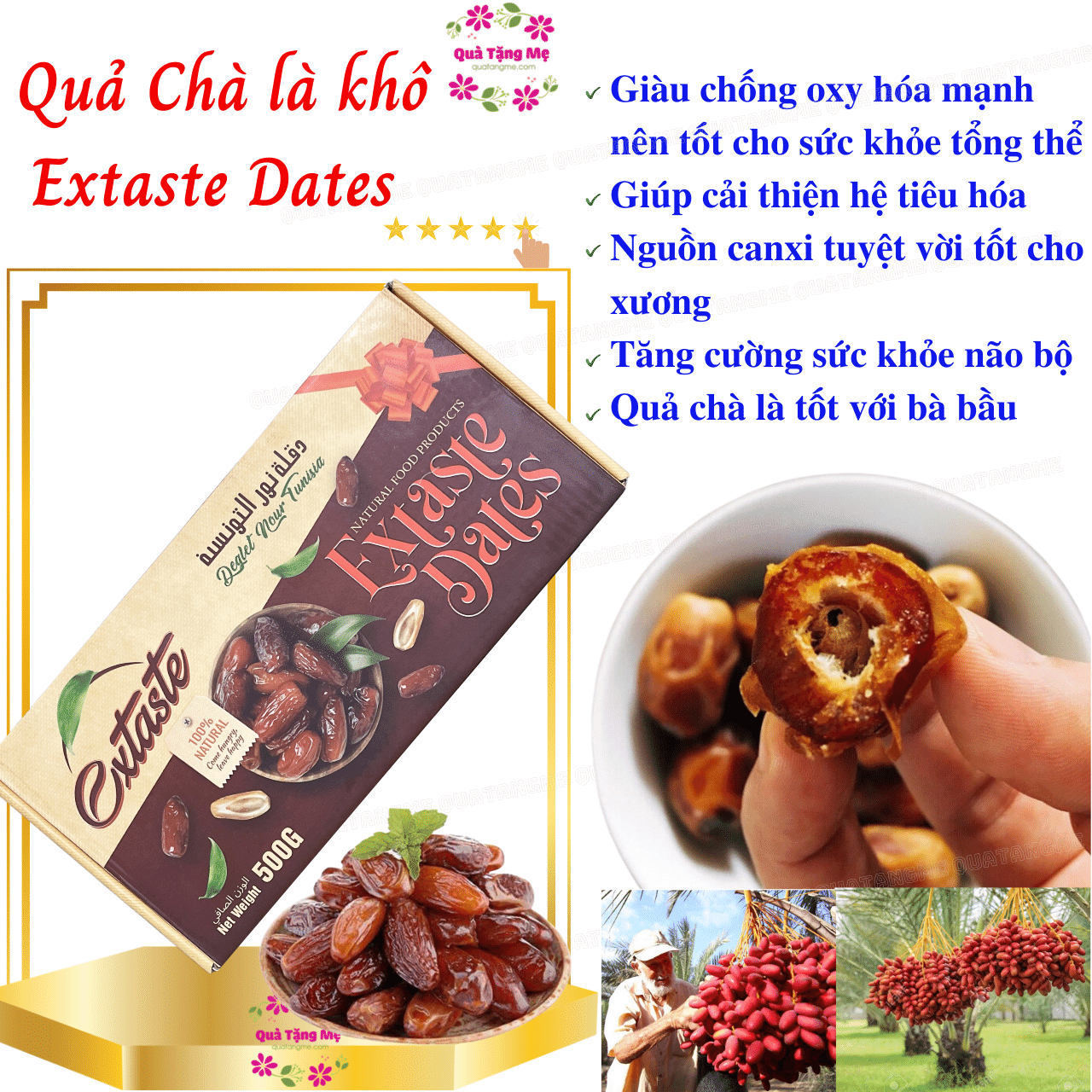 Quả Chà Là Khô Extaste Dates