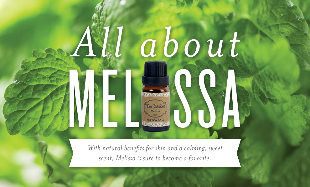 Tinh Dầu Tía Tô Đất - Melissa Essential Oil 5ml - Hoa Thơm Cỏ Lạ