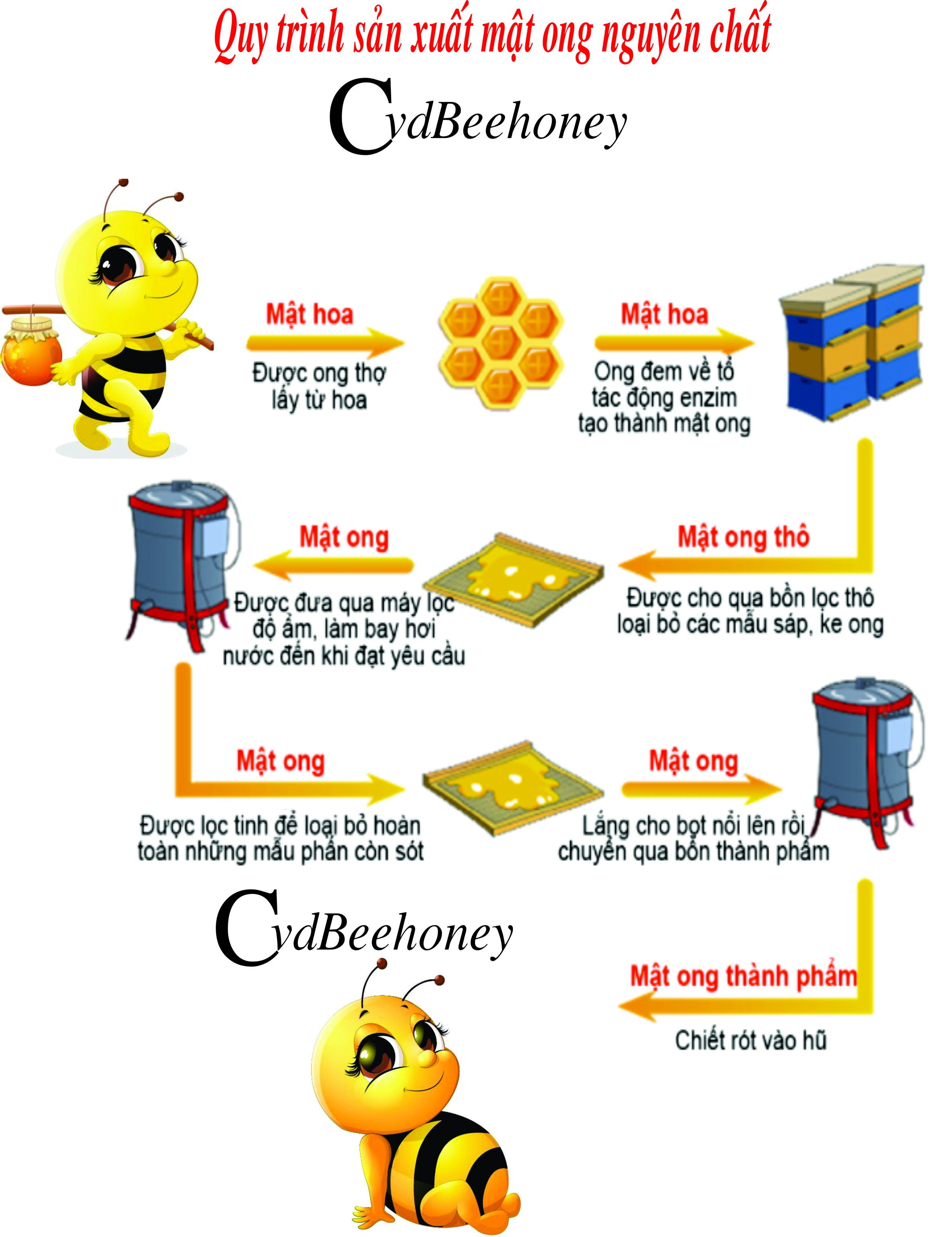 Mật ong hoa nhãn 430ml Cvdbeehoney 1