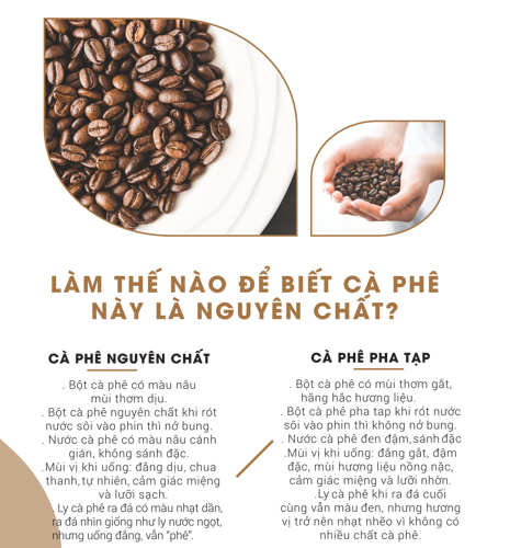 Cà Phê Bột Nguyên Chất 100% Light Coffee Hương Vị Mạnh Mẽ (500g) - Tặng Kèm Matcha sữa 50g