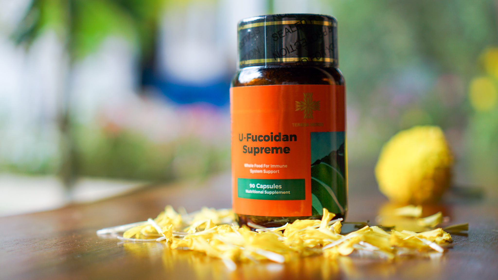 Thực phẩm bảo vệ sức khỏe U-Fucoidan cao cấp  Teresa Herbs U-Fucoidan (Lọ 90 viên)