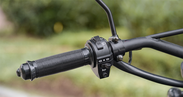 Xe Mô Tô Brixton Café Racer BX150R - Bạc