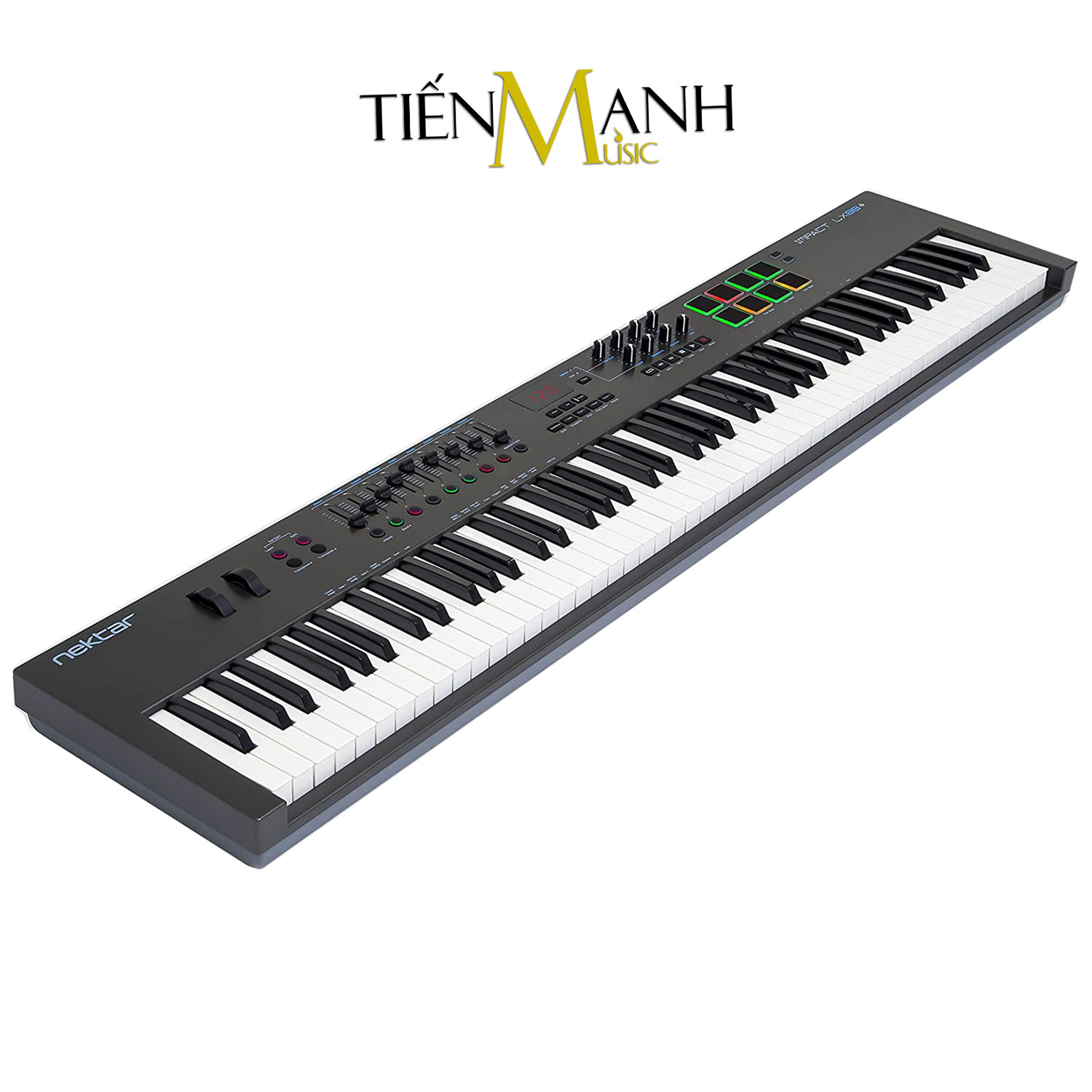 nektar lx88+ midi keyboard controller 88 phím cảm ứng lực bàn phím sáng 3