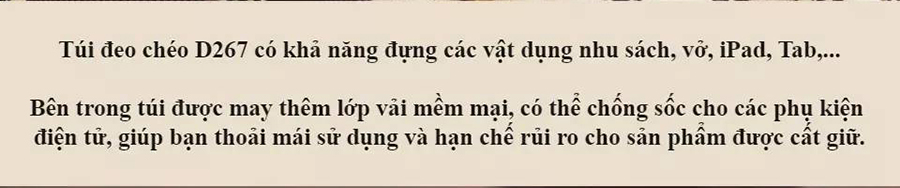 Túi Đeo Chéo Nam Thời Trang D267N (24 x 8 cm)