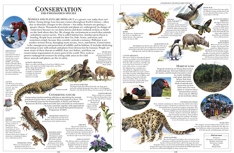 Mua DK Children's Illustrated Encyclopedia (25 Year Anniversary Edition) Mua DK Children's Illustrated Encyclopedia (25 Year Anniversary Edition)
