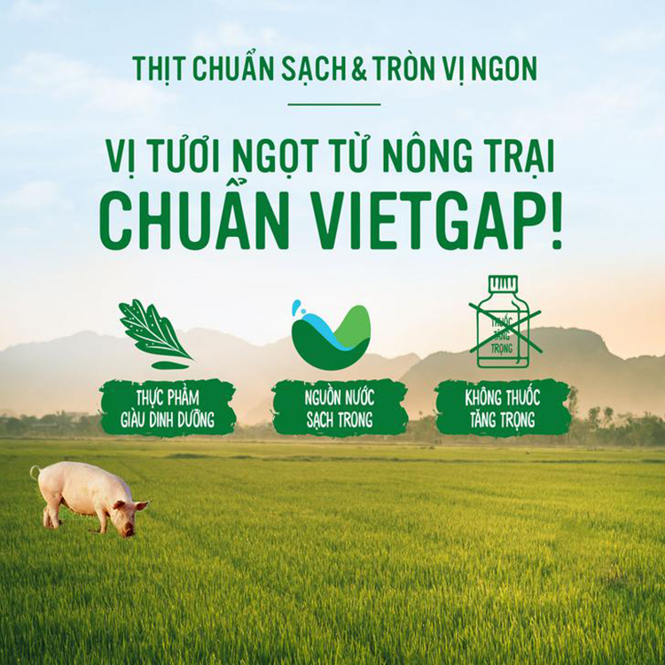 Hạt Nêm Knorr Từ Thịt Thăn, Xương Ống Và Tủy Bổ Sung Vitamin A (1200g) - 32010222
