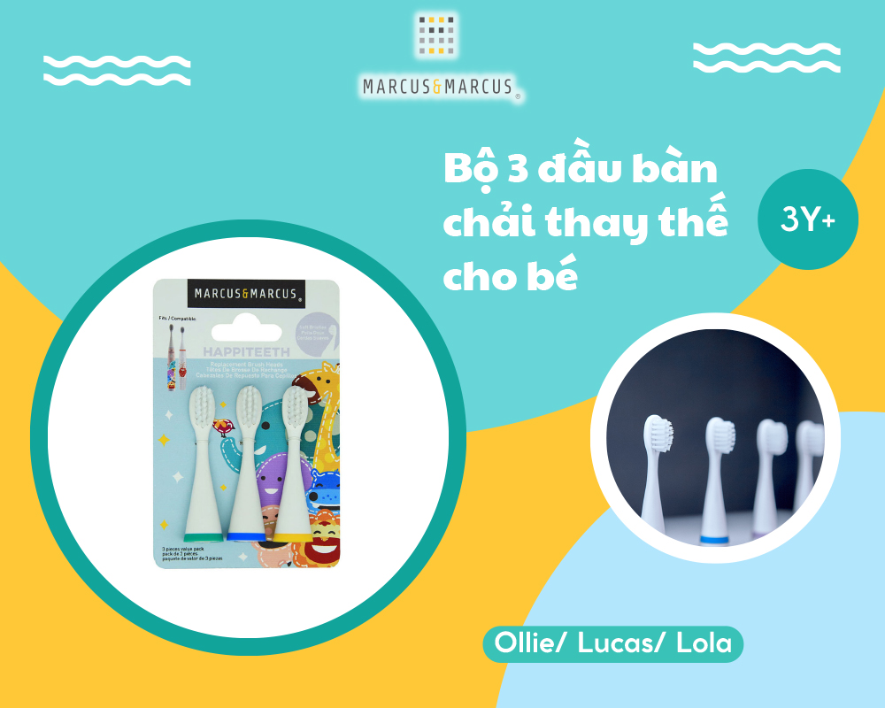 Bộ 3 đầu bàn chải thay thế cho bé Marcus & Marcus (Ollie/ Lucas/ Lola)