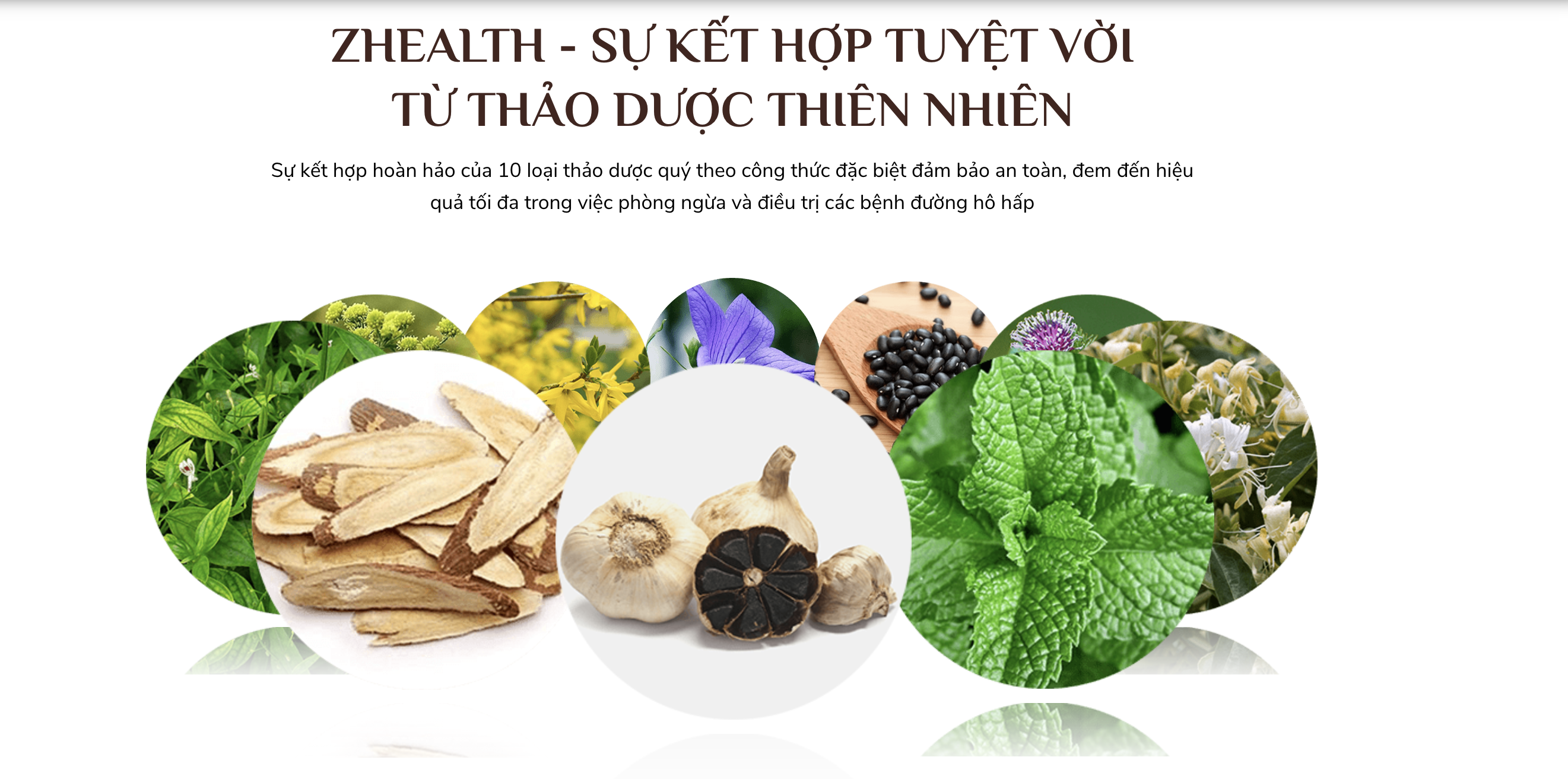 Siro Zhealth - Hỗ trợ tăng cường sức đề kháng, Hệ miễn dịch, Bổ phế, Giảm ho tức thì, Cải thiện sức khỏe đường hô hấp cho trẻ nhỏ, người già(10ml)