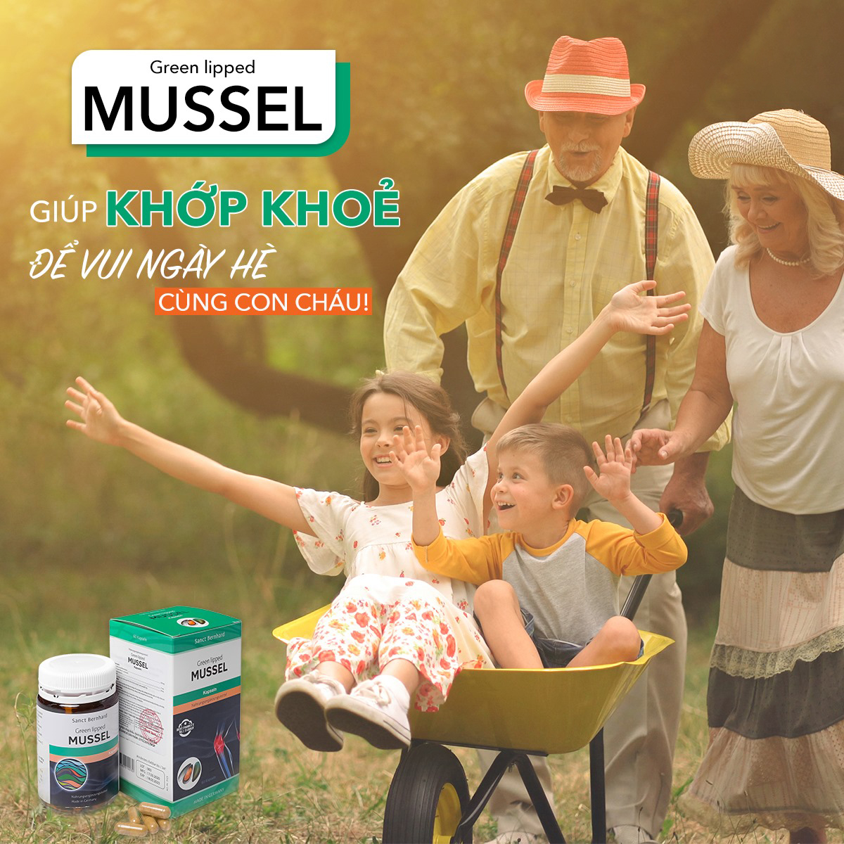 Bổ khớp Mussel chiết xuất vẹm xanh giúp bổ sung dưỡng chất cho khớp, giảm viêm khớp, phòng ngừa thoái hóa xương khớp 4