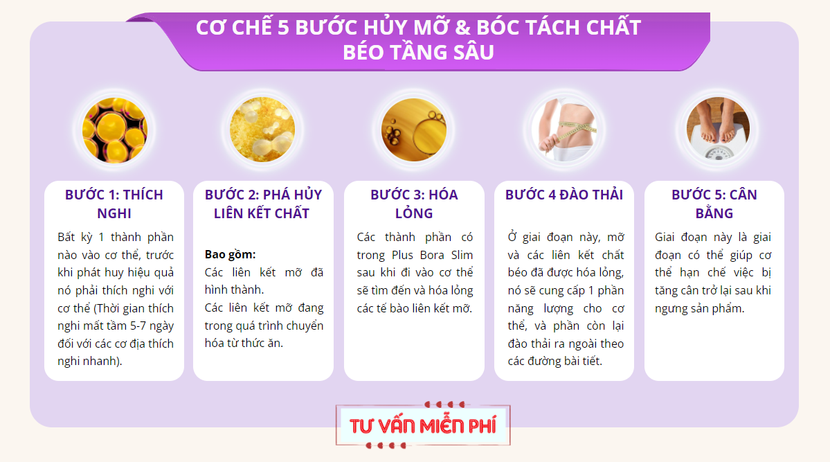 viên sủi hỗ trợ giảm cân bản cao cấp hàn quốc bora slim plus 18 viên 4