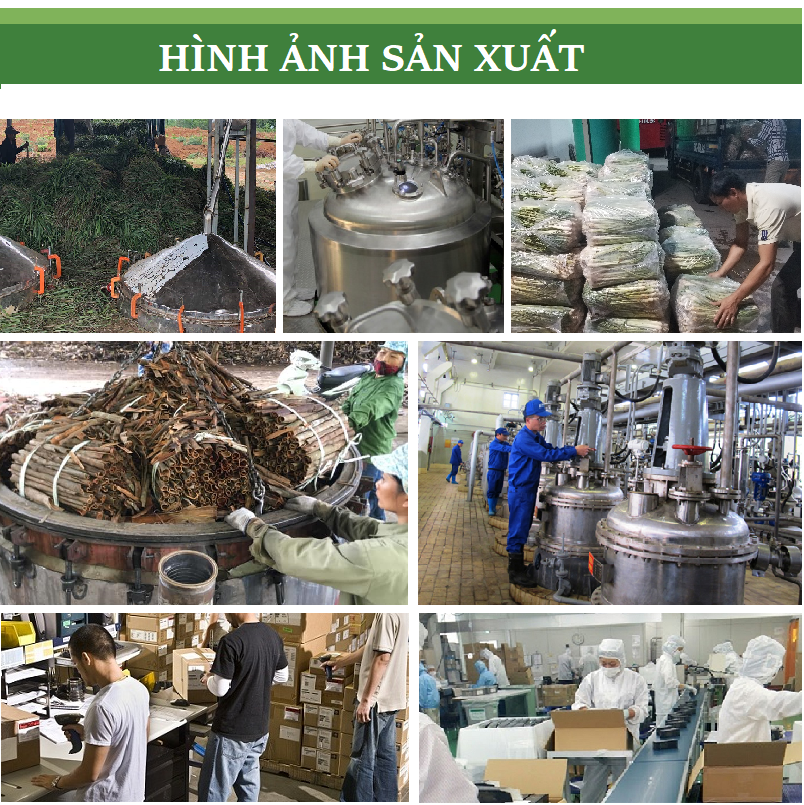 Tinh dầu thiên nhiên 100ml Sả Chanh/ Bạc Hà/ Quế/ Lavender/ Bưởi/ Cam/ Hoa Lài/ Quýt/ Tràm Trà/ Tràm Huế/ Gừng/ hoa Hồng/ Oải Hương/ Trà Xanh/ Hoa Hồng/ Ngọc Lan Tây