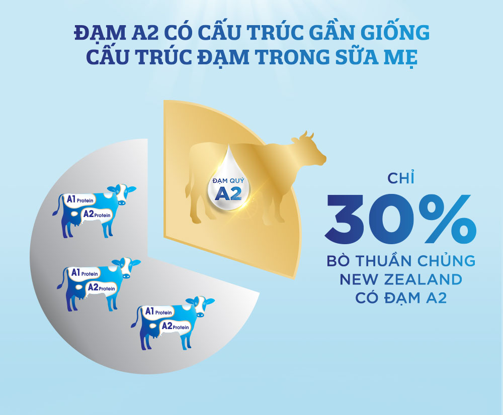 Sữa bột Enfagrow A2 Neuropro 4 1.7kg giúp dễ tiêu hóa, hấp thu dành cho trẻ 3-6 tuổi