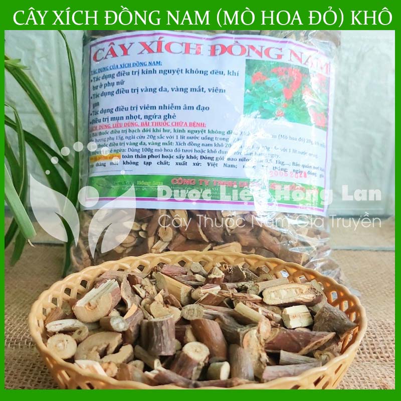 Hoa xích đồng nam có tác dụng gì?
