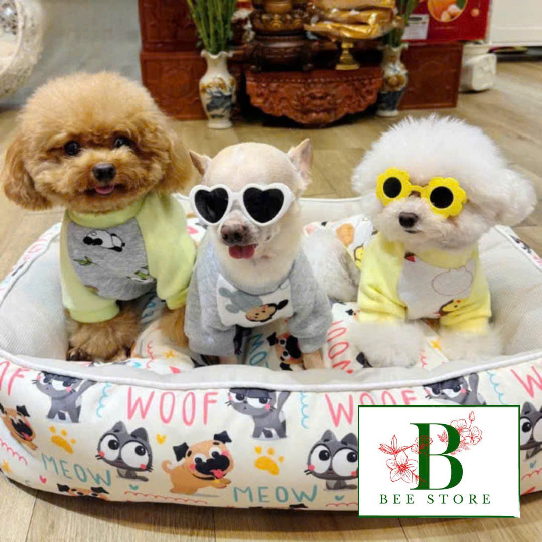 ÁO THUN NỈ PHOM RAGLAN MẶC ẤM CHO THÚ CƯNG CHÓ MÈO