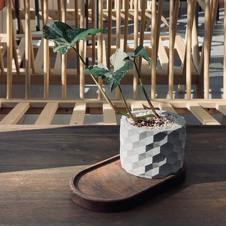 Set 4 chậu cây xi măng SeeArt đường kính 11x8.5cm , chậu trồng cây cảnh, bonsai, sen đá, lithops decor nhà ở, bàn làm việc, quán ăn, văn phòng, cà phê
