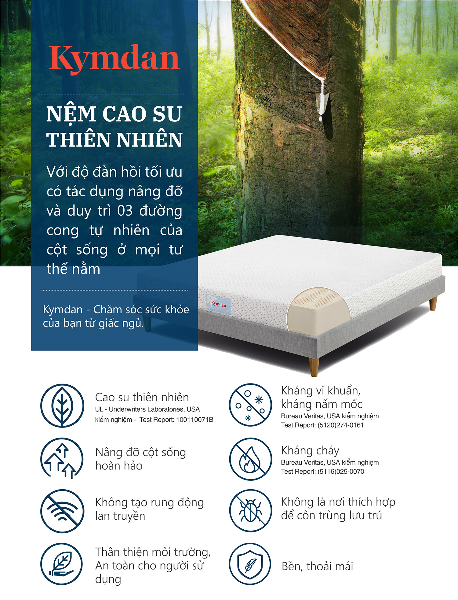 Nệm cao su thiên nhiên Kymdan Deluxe 140 x 200 x 05cm SFM