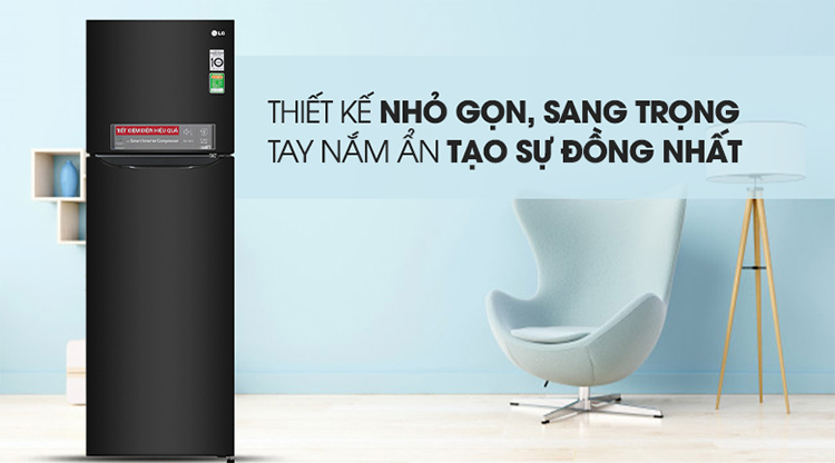 Tủ Lạnh Inverter LG GN-M255BL (255L)