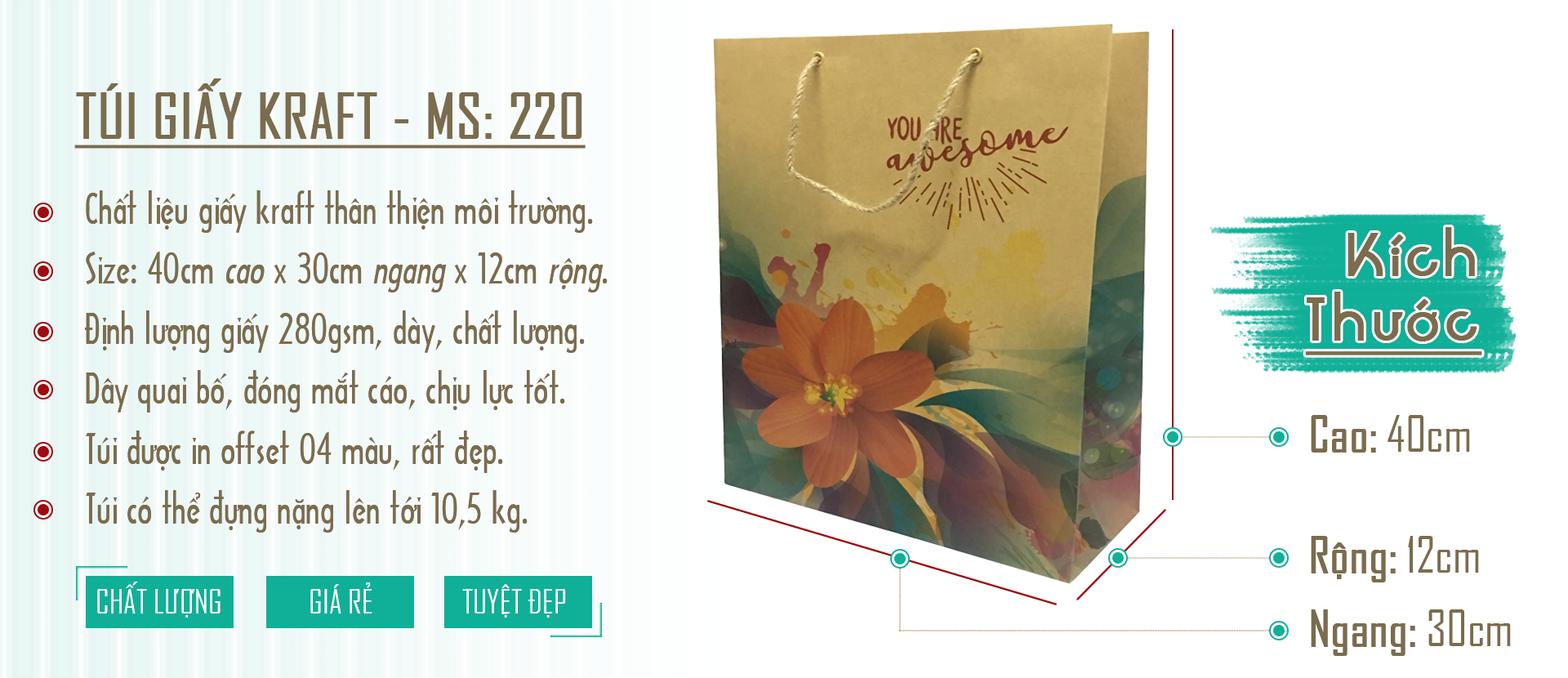 túi-giaasys-kraft-rẻ-đẹp-chất-lượng