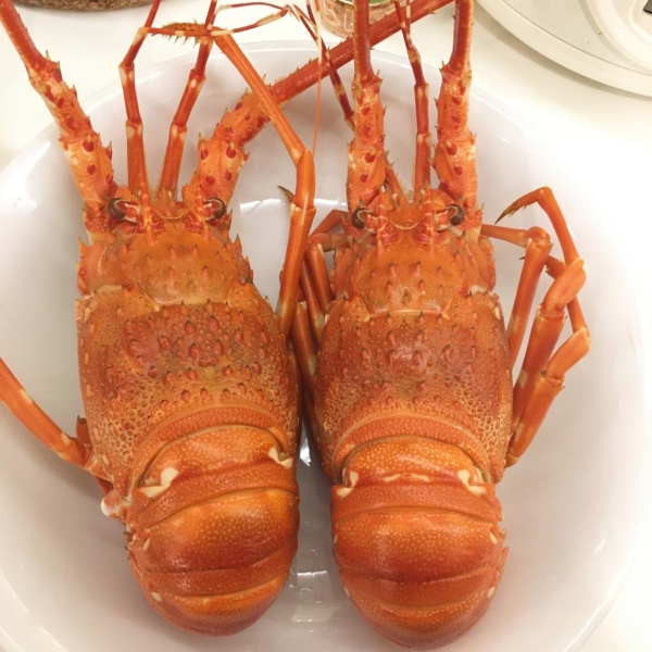 Tôm Hùm Baby Sống (1 Con 350g)