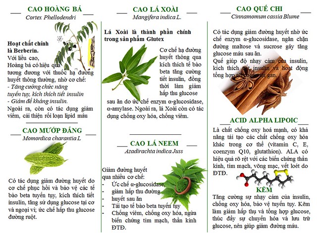 Thành phần và tác dụng của Glutex