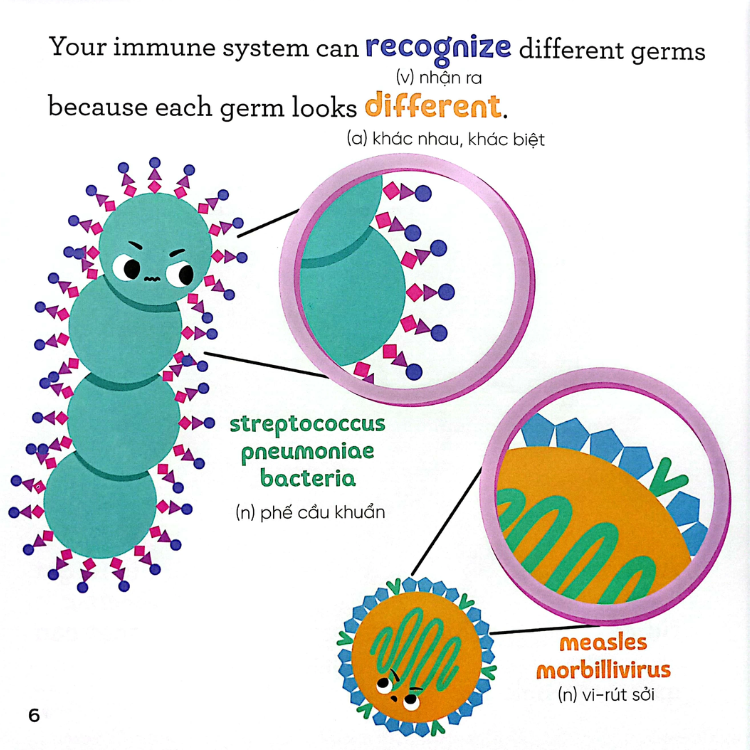 Sách Nhà Sinh Hóa Tương Lai Vaccines - Những Cộng Sự Tài Ba Của Hệ Miễn Dịch