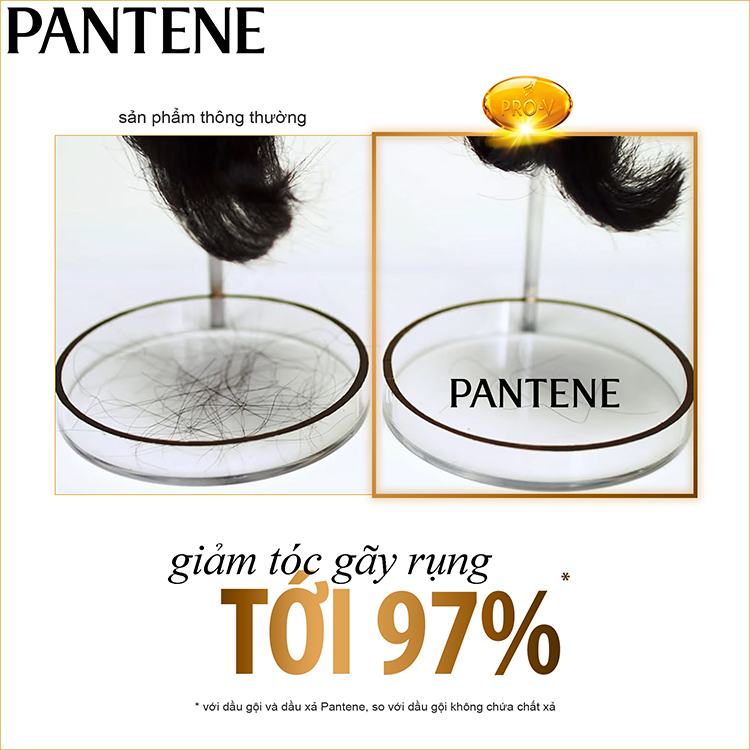 Dầu gội Pantene ngăn rụng tóc 900ml tặng 1 Dầu Xả Pantene 3 PDK 150ml (loại ngẫu nhiên)