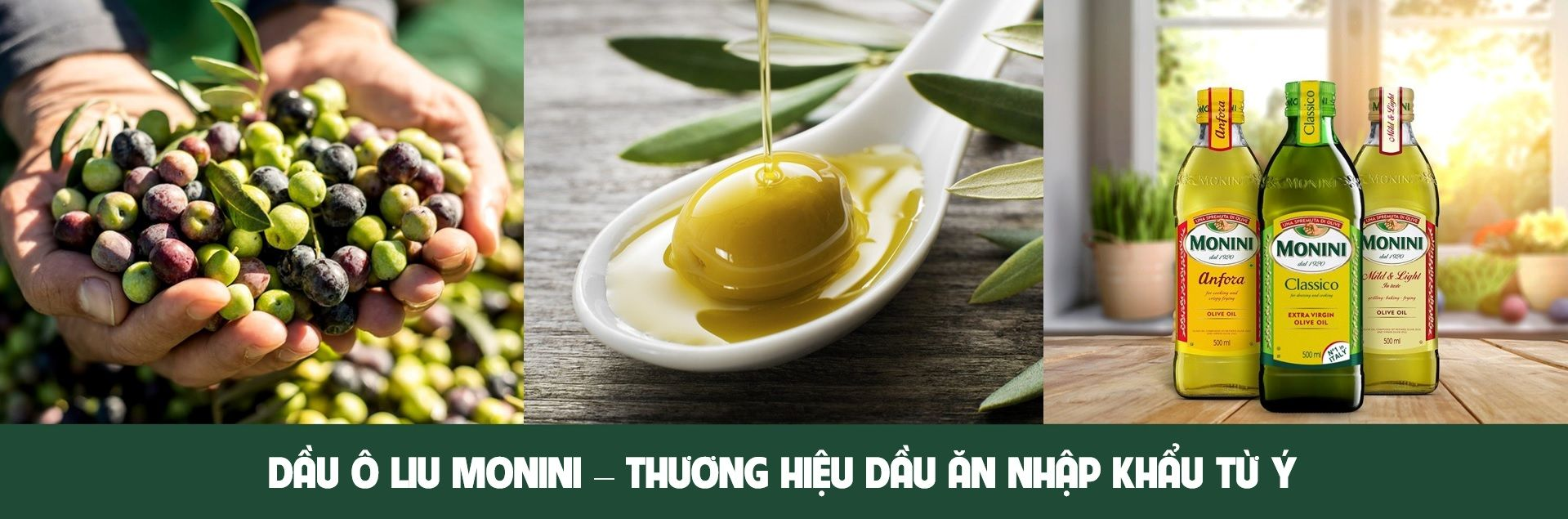 Dầu Oliu Extra Virgin Monini 500ml - Nhập Khẩu Ý | Monini Classico Extra Virgin Olive Oil 500ml