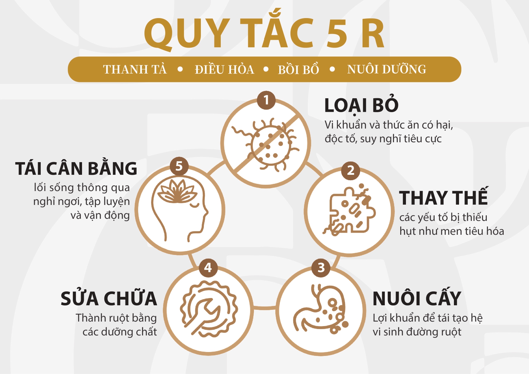Viên uống bổ sung lợi khuẩn IMPERIUM ULTIMATE RESTORE khởi đầu cuộc sống lành mạnh với sức khỏe tiêu hóa tốt hơn, tăng cường miễn dịch, quà tặng ý nghĩa cho cấp trên, bạn bè, đồng nghiệp, người thân (15 viên/lọ)