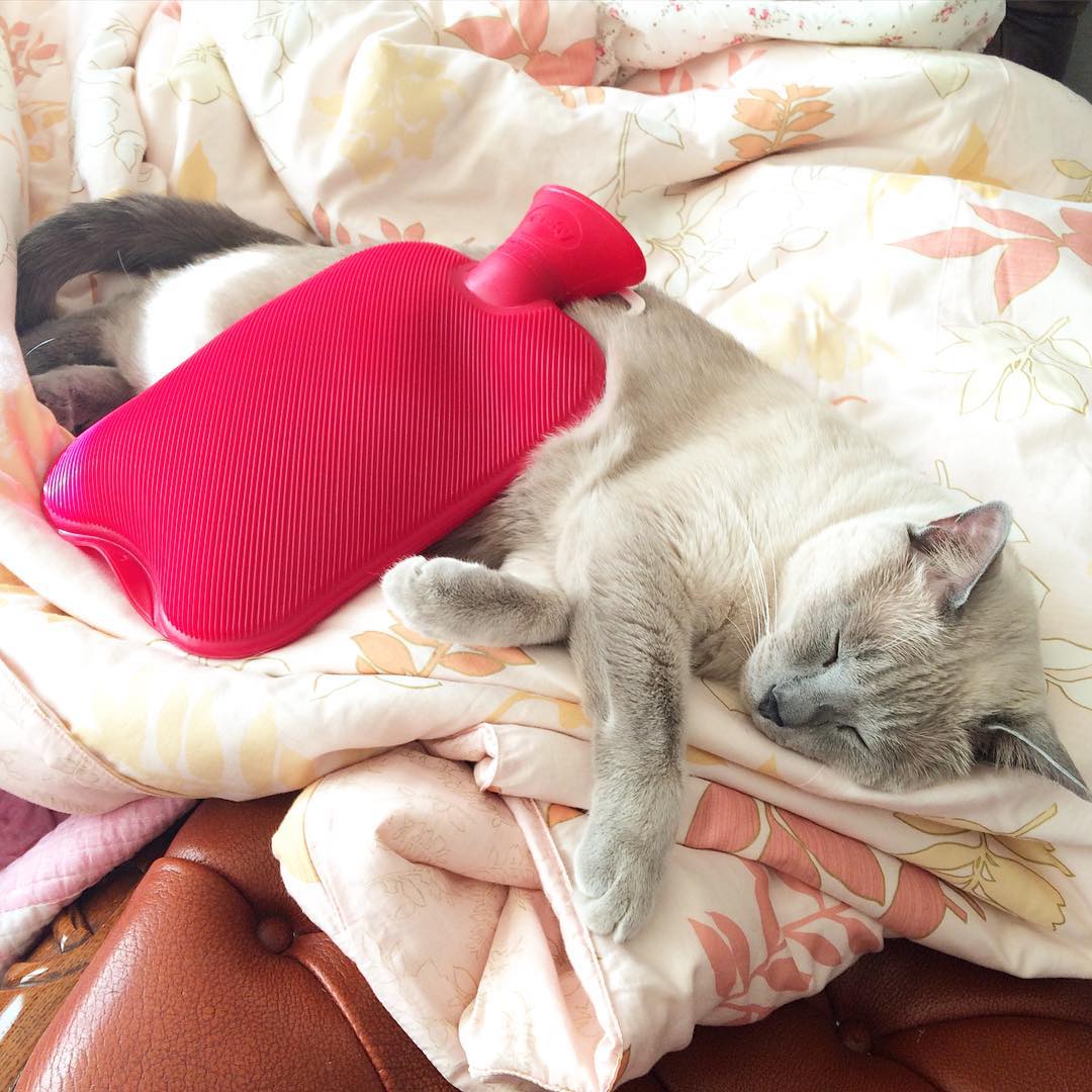 Túi chườm nóng lạnh Fashy Germany cổ điển