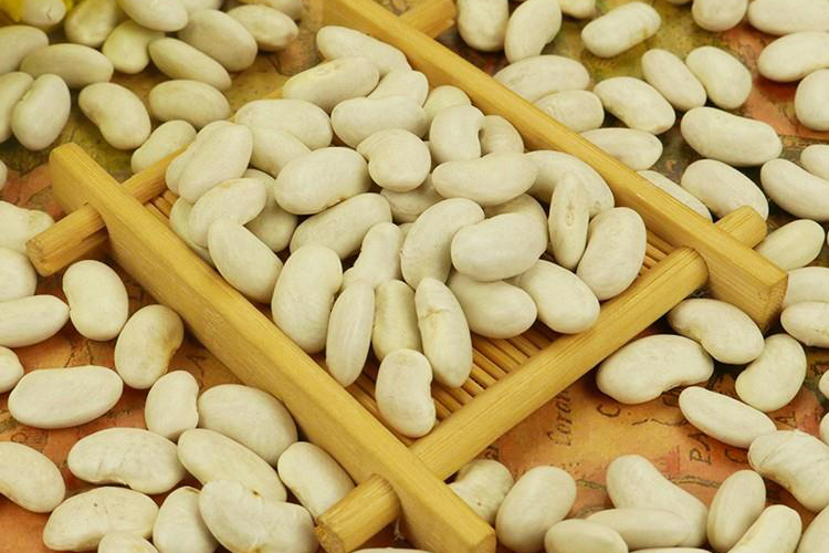 Đậu trắng Contel 400g