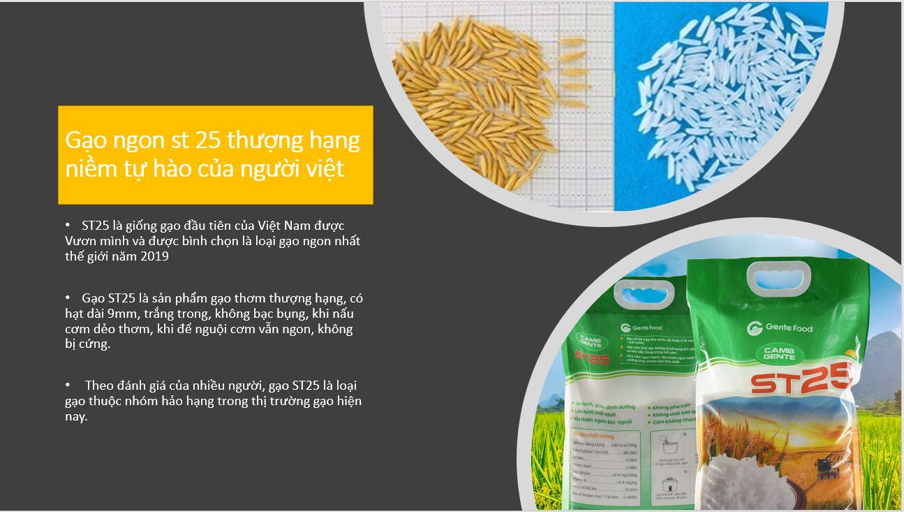 gạo ngon st25 thượng hạng cơm thơm, dai, mềm dẻo, vị ngọt, niềm tự hào của người việt 1