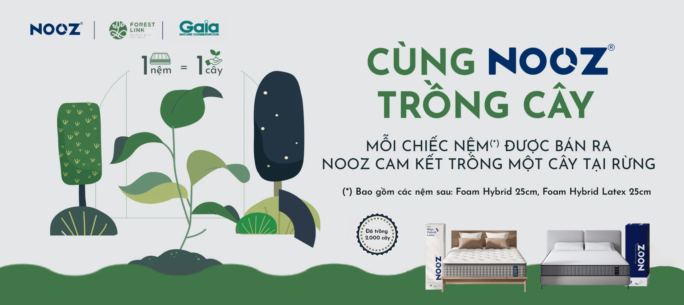 Nệm Foam Hybrid Latex NOOZ Home Goods Mattress Đệm Với Tầng Lò Xo Túi Và Lớp Cao Su Non Thiên Nhiên