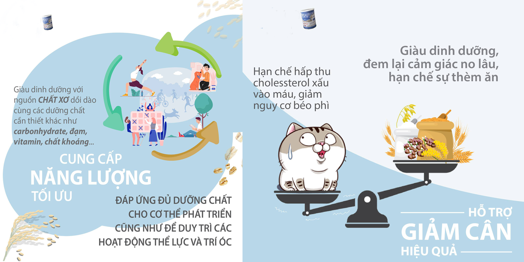 Sữa Hạt Orgagrain Thuần Chay - 36 Loại Hạt - Không Đường - Giàu Vitamin, Chất Xơ Và Canxi, Cải Thiện Hệ Tiêu Hóa - Tốt Cho Tim Mạch - Dành Cho Cả Gia Đình, Trẻ Từ 3 Tuổi Và Người Ăn Thực Dưỡng - FECVEN