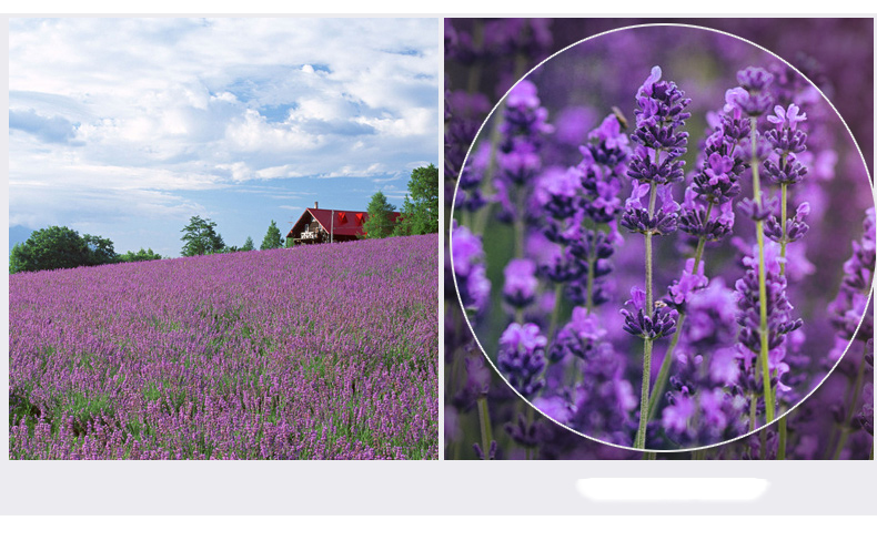 Kính Viễn Vọng Độ Phân Giải Cao Uscamel SLR