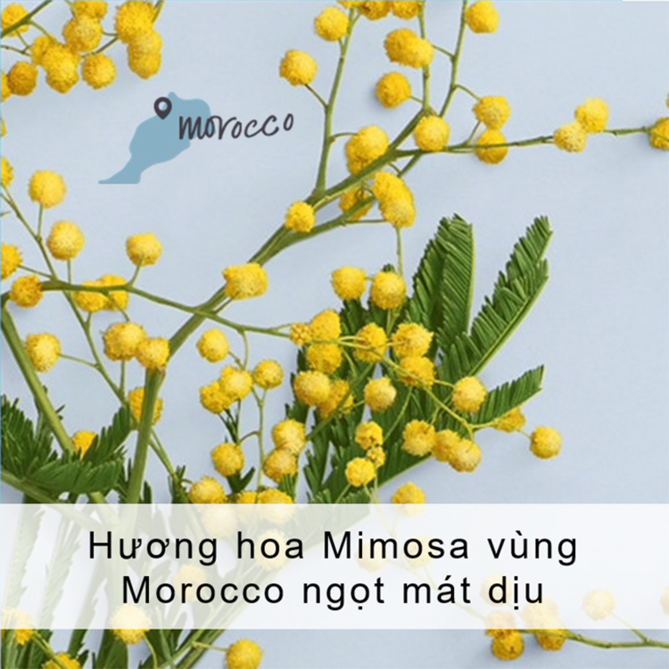 Combo Sữa Tắm + Sữa Dưỡng Thể Love Beauty And Planet Cấp Nước Dịu Nhẹ Cho Da (400ml/Chai)