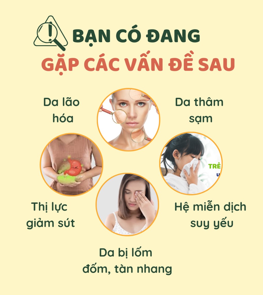 Combo Viên Uống Bổ Sung Vitamin C, E, D, B Vitamin Tổng Hợp Và Khoáng Chất Seedcoms Nhật Bản