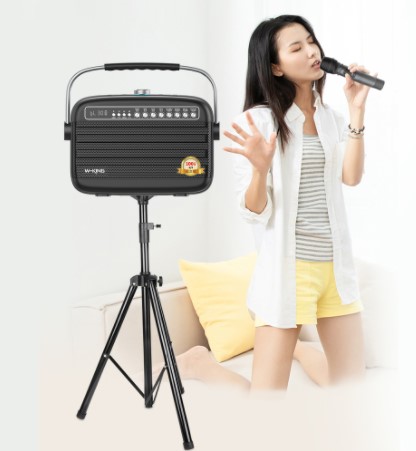 (Hàng chính hãng) Loa Karaoke Xách Tay Bluetooth W-king K9