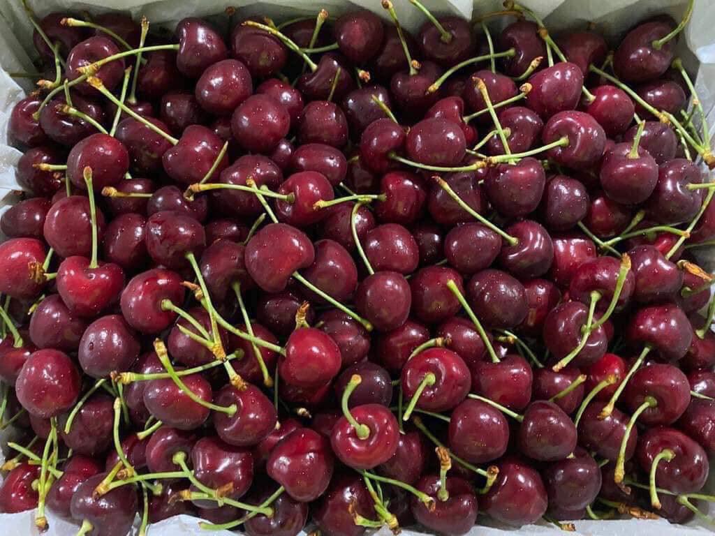 cherry úc size 30 32- 500gr 1