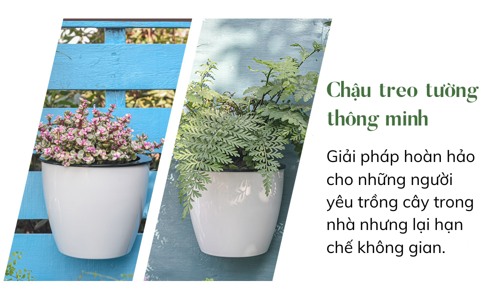 Chậu tự tưới treo tường MONROVIA, trang trí trong nhà, ban công, tiện lợi, sang trọng, tiêu chuẩn châu Âu