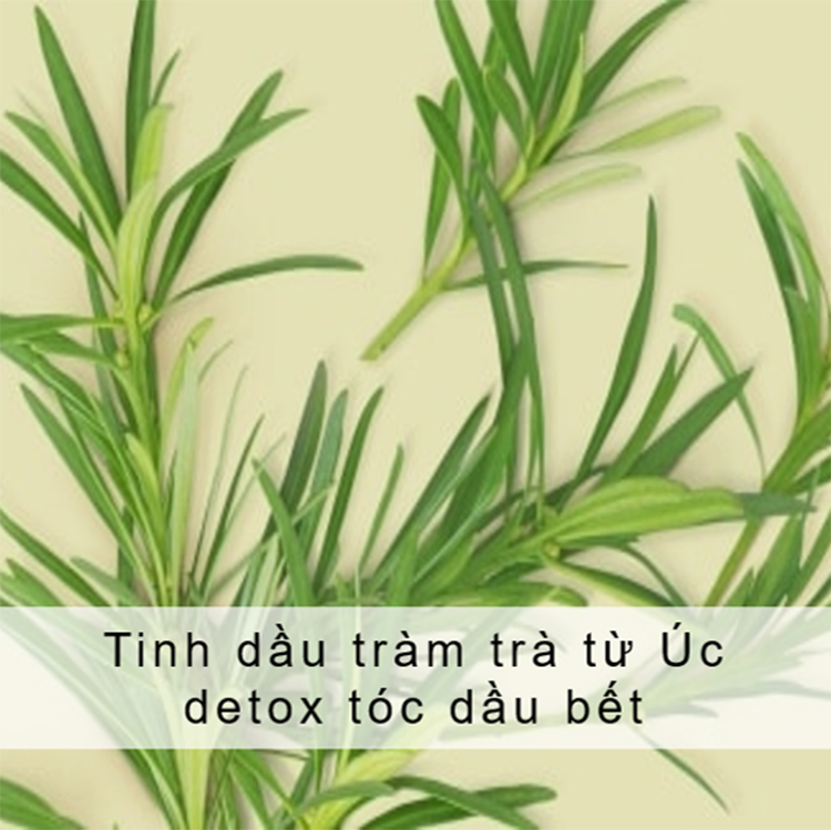 Dầu Gội Detox Tóc Love Beauty And Planet Radical Refresher 400ml