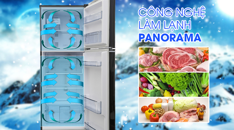 Tủ Lạnh Inverter Panasonic NR-BL308PKVN (267 lít) - Đen