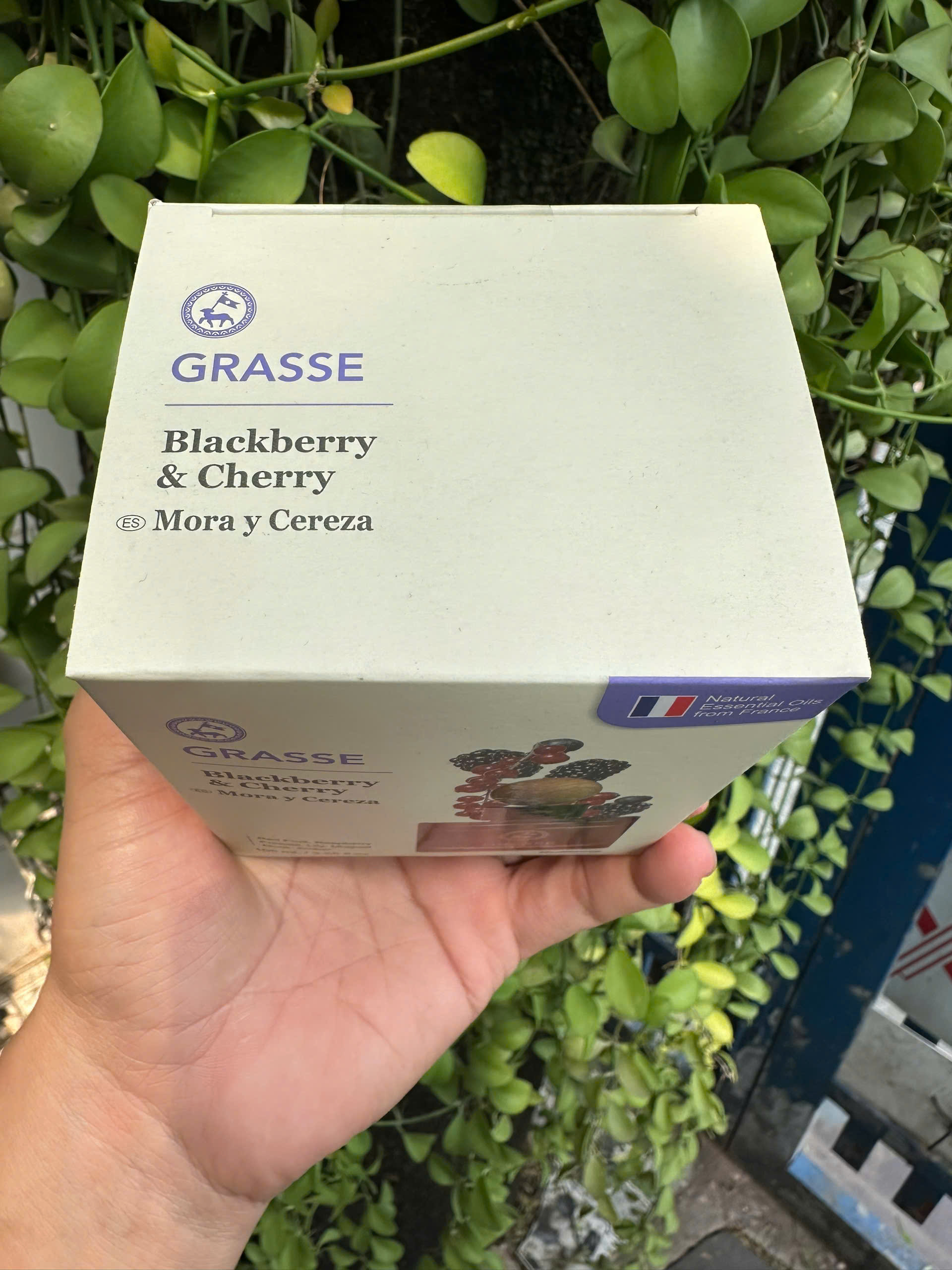 Nước hoa Ô tô Cao Cấp BullSone Grasse Diffuser 105ml - Hàng Chính Hãng - Đa dạng mùi hương 2024