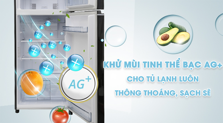 Tủ Lạnh Inverter Panasonic NR-BL308PKVN (267 lít) - Đen