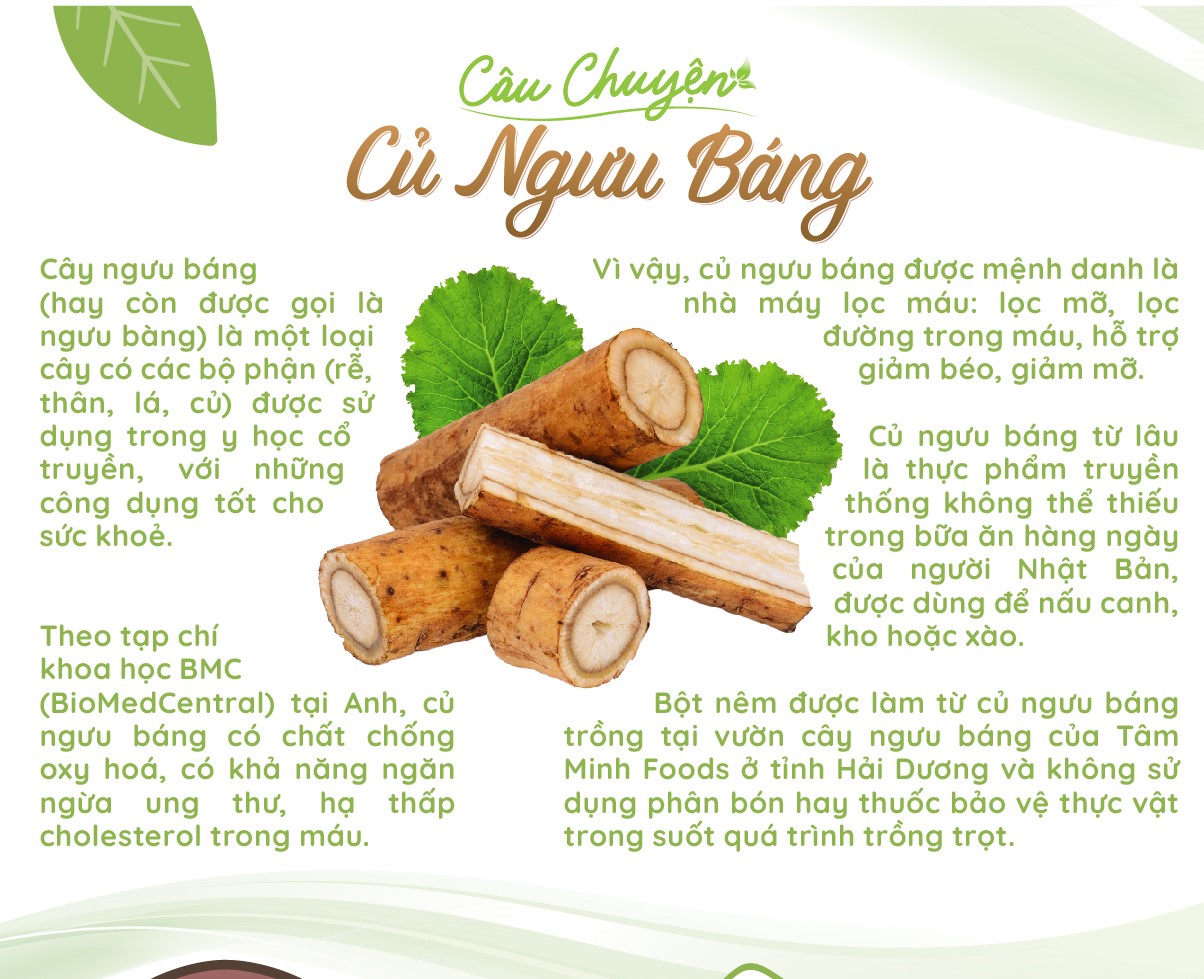 Bột nêm ngưu báng 200g TÂM MINH FOODS thuần chay không bột ngọt