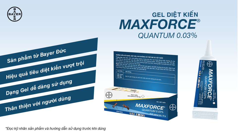 Diệt kiến dạng Gel Bayer Maxforce Quantum 0.03% (12g)