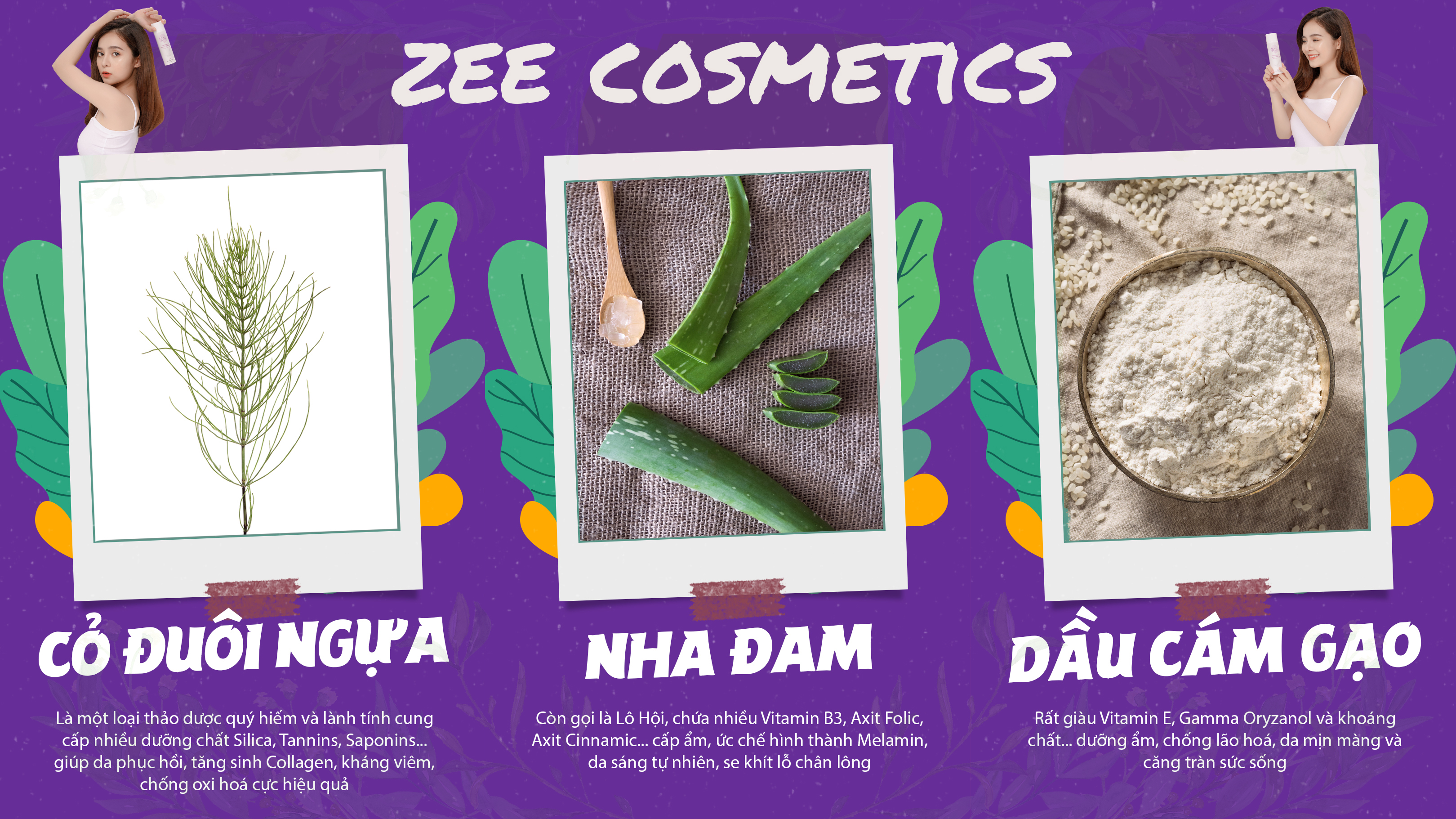 Zee Cosmetics