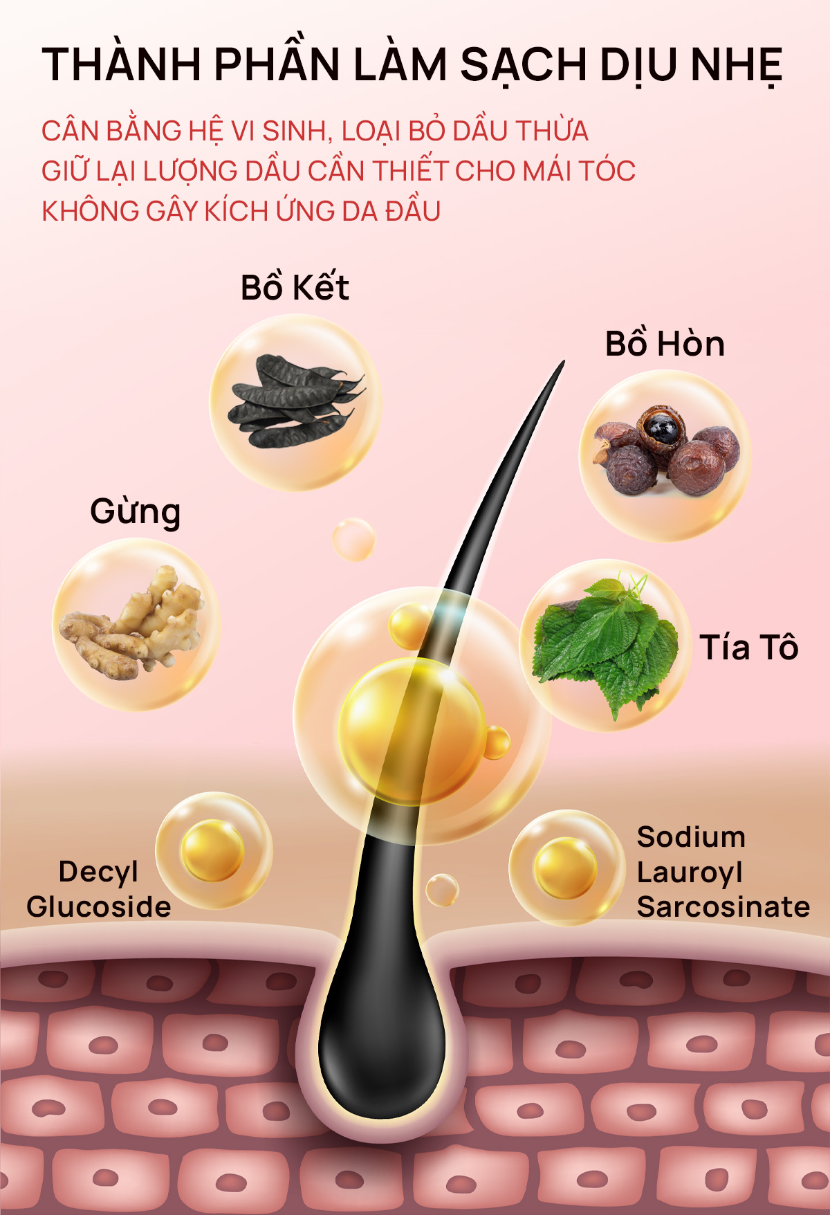 Dầu gội thảo dược Fresh Shampoo giảm rụng tóc, giảm gàu, nuôi dưỡng tóc mềm mượt và chắc khỏe từ gốc 500ml