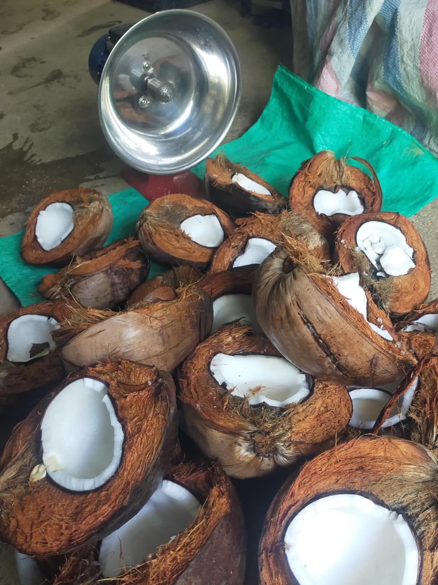 Tinh Dầu Dừa Nấu Thủ Công nguyên chất dưỡng da, dưỡng tóc, dưỡng môi handmade