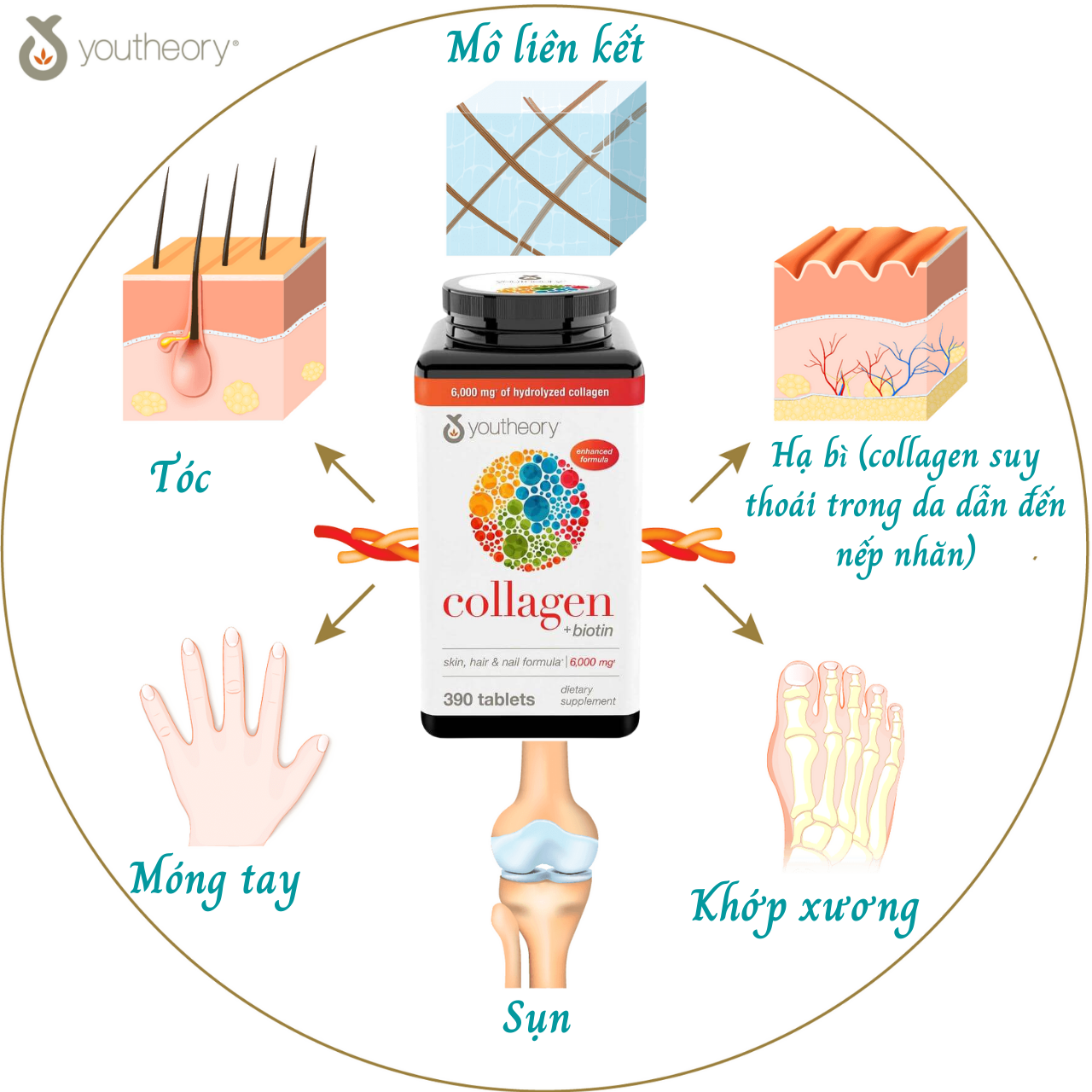 Collagen Youtheory Mỹ