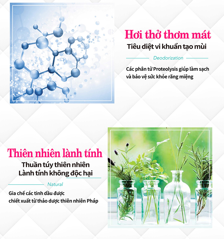 [Liệu Trình 7 Ngày + Kem Đánh Răng (Hương Cam) Tặng Bàn Chải Đánh Răng] Miếng Dán Trắng Răng Anriea Black Tooth Whitening - 30 Minutes Express